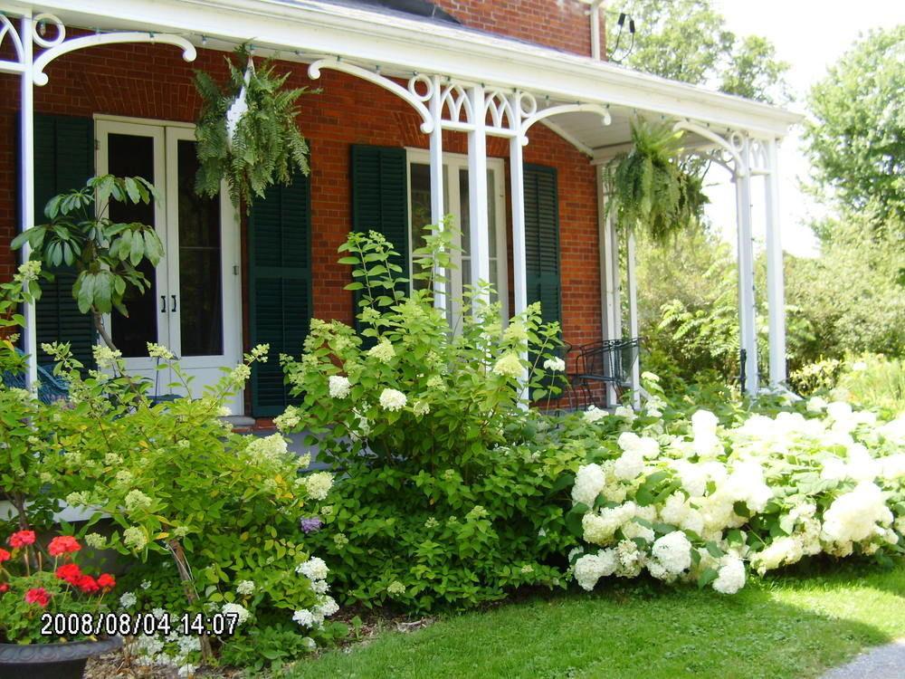 Bed and Breakfast MacKechnie House Cobourg Exterior foto